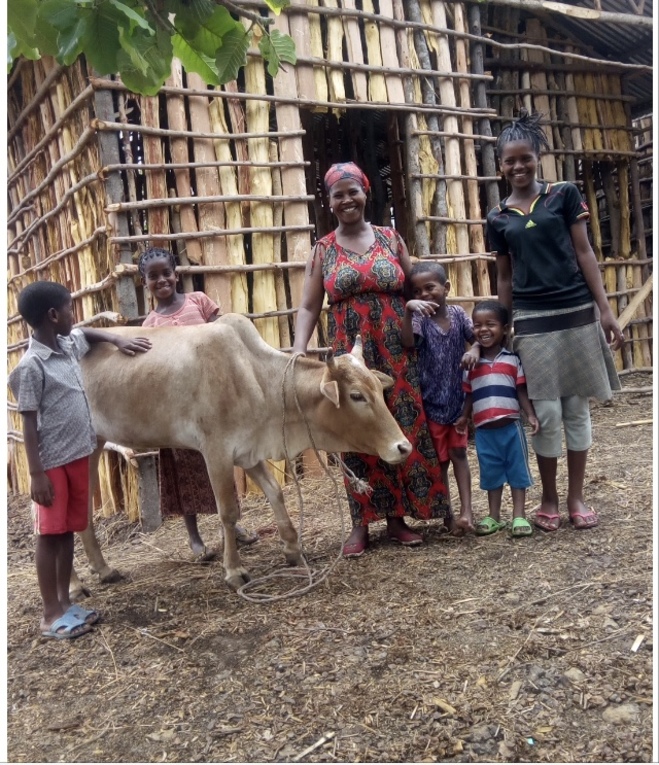 Holy Cow! (an income generating effort in Ethiopia)